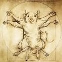 Rat0verlord