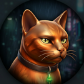 gatafumeta