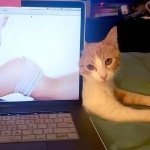 MiaKitty99