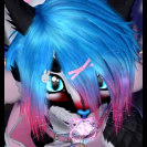Ava Paws