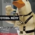 SarckD7