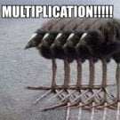 HimothyMcHimerson
