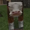 MrGayMann