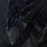 Xenodragon54