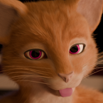 Kaitzuwu