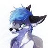 Takumfox