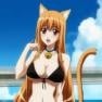 CatianArmy