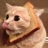 wonderingpotato