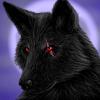 DarkShadowwolf