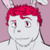 littleredrabbit