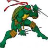 turtlejr