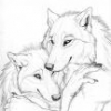 whitewolf696