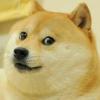 Doge22