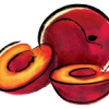 TalHalla