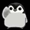 Pengy