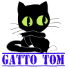 gatto tom